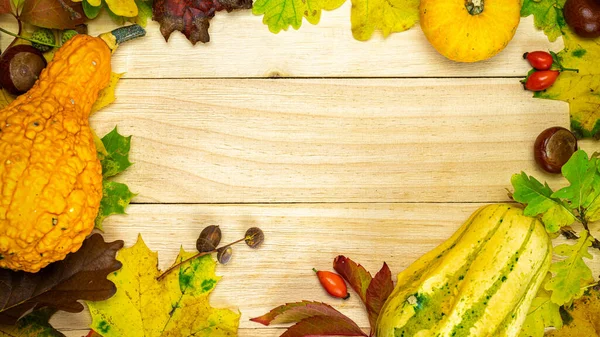 Herfst Blad Textuur Natuurlijke Oogst Met Sinaasappelpompoen Herfst Gedroogde Bladeren — Stockfoto