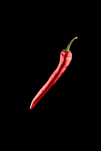 Röd Jalapeno Kryddig Chile Cayennepeppar Isolerad Röd Varm Chili Paprika — Stockfoto