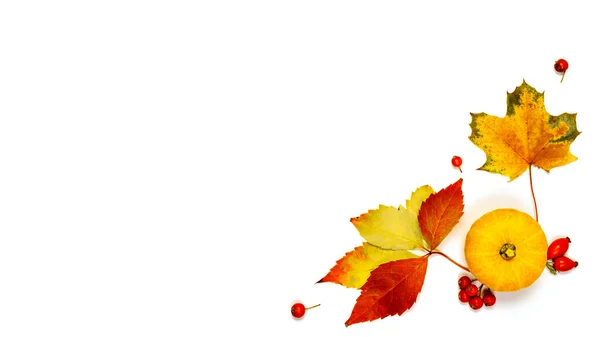 ハロウィンのコンセプト 自然食品 オレンジカボチャの収穫 秋の乾燥葉 白い背景に隔離されたローワンベリー 美容ホリデー秋祭りのコンセプト 秋の情景 — ストック写真