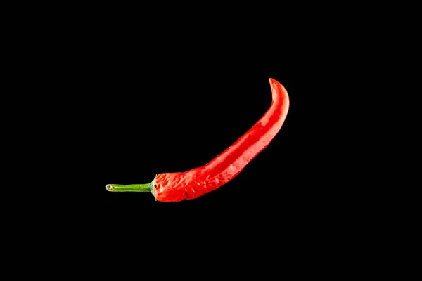 红色Jalapeno辣椒酱辣椒分离 黑色背景上的红辣椒红辣椒 新鲜香料蔬菜概念 — 图库照片