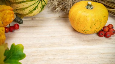 Sonbahar yaprakları arka plan. Buğday taneli doğal hasat portakal kabağı, kurumuş yapraklar, kırmızı böğürtlen ve meşe palamudu, ahşap arka planda kestaneler. Yaratıcı sonbahar kompozisyonu