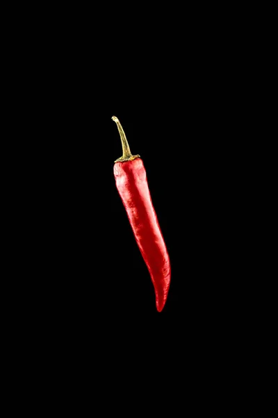 Chilli Paprika Izolálva Fűszeres Chilei Cayenne Paprika Izolálva Vörös Csípős — Stock Fotó