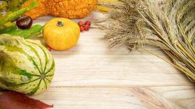 Sonbahar dekoru. Buğday taneli doğal hasat portakal kabağı, kurumuş yapraklar, kırmızı böğürtlen ve meşe palamudu, ahşap arka planda kestaneler. Şükran Günü Cadılar Bayramı davetiyeleri