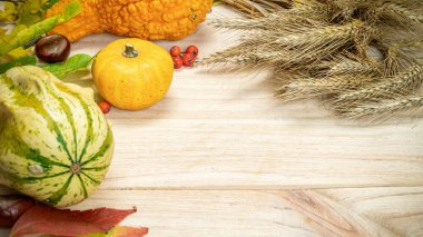 Soyut sonbahar. Çavdar kazığı, portakal kabağı, kurumuş yapraklar, kırmızı böğürtlen ve meşe palamudu, ahşap arka planda kestane. Sonbahar Şükran Günü geçmişi