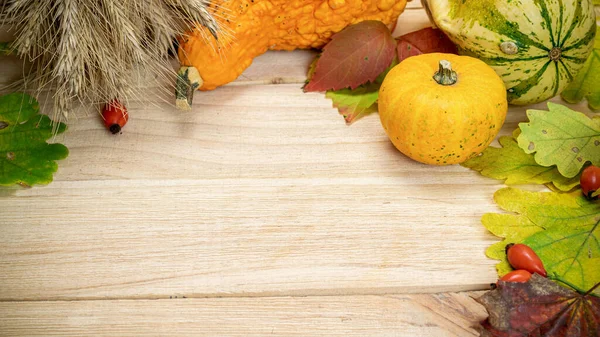 Fall trendy. Natural harvest with wheat grain ear orange pumpkin, fall dried leaves, red berries and acorns, chestnuts on wooden background. Beauty Holiday autumn festival concept