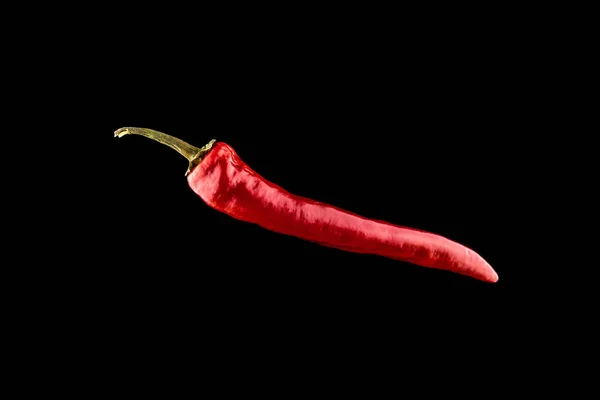 Röd Jalapeno Kryddig Chile Cayennepeppar Isolerad Röd Varm Chili Paprika — Stockfoto