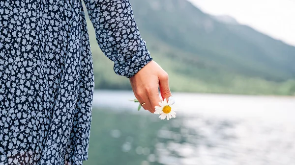 カモミールの花。春のドレスを保持カモミールの花で幸せな女の子。夏のカモミール、女性の手に白いデイジー。若い女性と春の緑の自然、調和の概念. — ストック写真