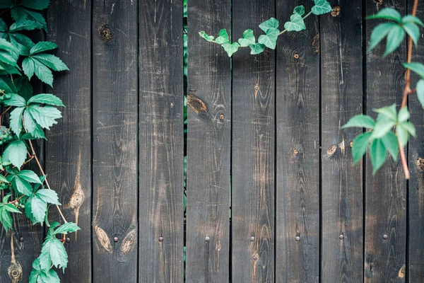 Black Wood Texture Pattern Timber Plank Surface Wall Vintage Grunge — Stock Photo, Image