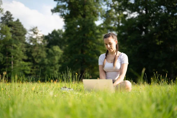 Woman person business nature outside with online technology. Computer outdoor. Student girl working on laptop, tablet in summer park. Escaped of office distance education concept