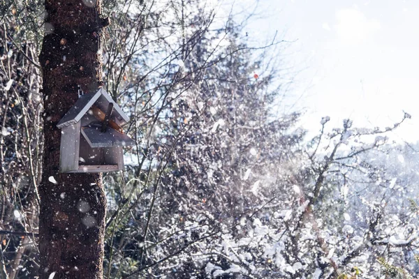 木のバードハウス冬の風景家の裏庭 — ストック写真