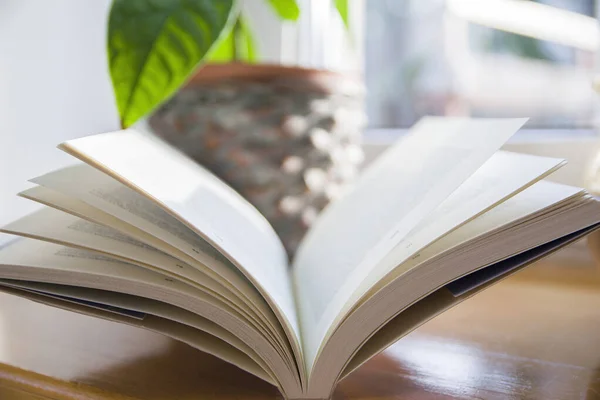 Pencerenin yanında açık bir kitap, kitap okuyor.