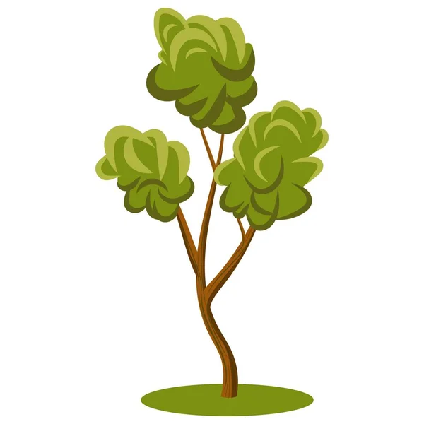 Flache Cartoon Vektor Park Baum Mit Einer Vielzahl Von Grüntönen — Stockvektor