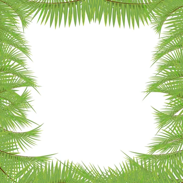 Trendy Tropical Palm Leaves Vector Poster Atractivo Verano Tropical Naturaleza — Vector de stock