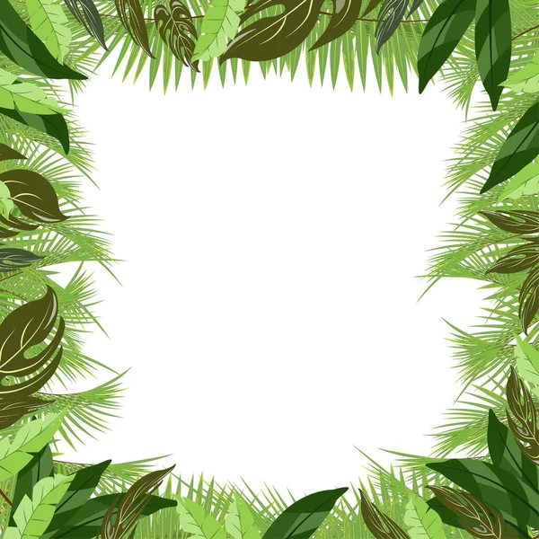 Palma Tropical Moda Plantas Tropicales Deja Cartel Vector Atractivo Verano — Vector de stock