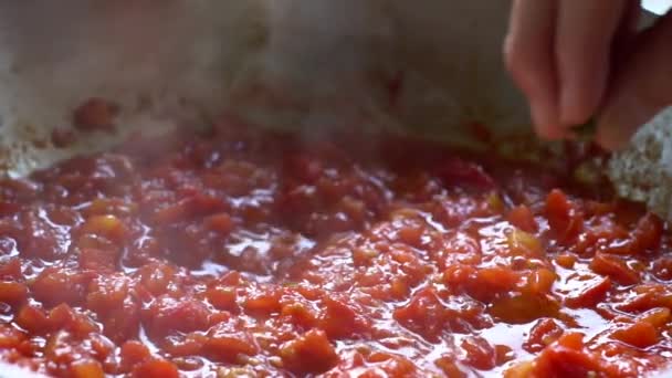 Tomato Sauce Close Slow Motion Boiling Tomato Sauce Made Chopped — Stock Video