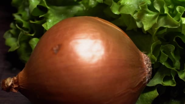 Konserverad Tonfisk Ingredienser För Tonfisksallad Köksbänk Sallad Lök Körsbärstomat Och — Stockvideo