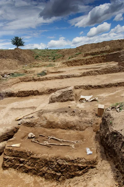 Arkeolojik kazılar. İnsan kalıntılarıyla birlikte antik bir mezar. Arkeolojik bir alanda insan iskeletinin kazılması. Eski bir mezardaki kemiklere ve kafatasına yakın.. 