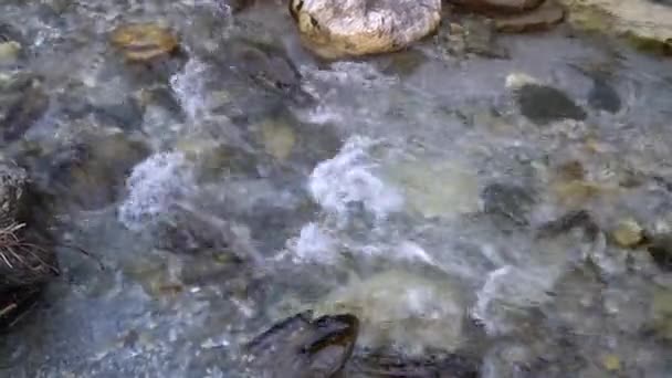 Καθαρό νερό ορεινό ποτάμι φόντο. Υπάρχει ένας ήχος από το ποτάμι. Πέτρες φαίνονται μέσα από το νερό στο βυθό.. — Αρχείο Βίντεο