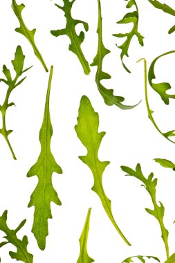 Vahşi roket roka yaprakları