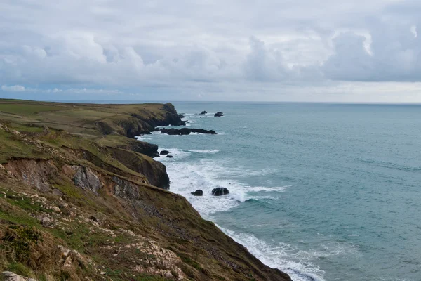 Cala de Kynance en el camino de la costa de la península de lagarto en Cornwall Inglaterra Reino Unido . — Foto de Stock