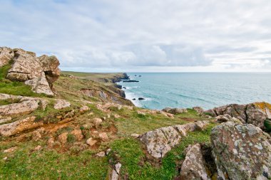 Kertenkele kıyı kayalıklardan Mullion Cove Cornwall yukarıda üzerinden