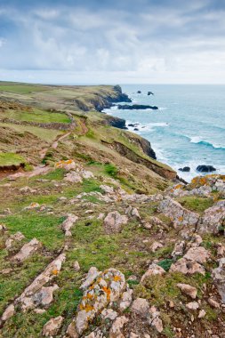 Kertenkele kıyı kayalıklardan Mullion Cove Cornwall yukarıda üzerinden