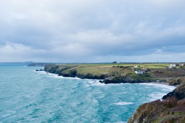 Kertenkele kıyı kayalıklardan Mullion Cove Cornwall yukarıda üzerinden
