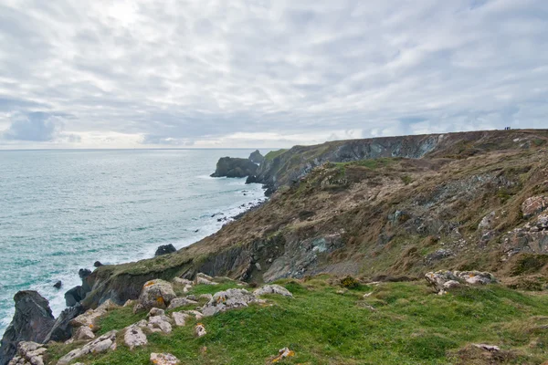 De hagedis kustlijn van kliffen boven Mullion Cove in Cornwall — Stockfoto