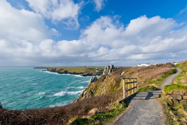 Liskon rannikko kalliolta Mullionin poukaman yläpuolella Cornwallissa — kuvapankkivalokuva