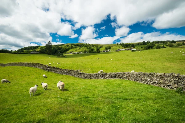 Lake District Cumbria — Stock Photo, Image