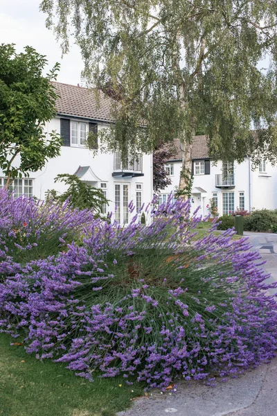 Beautiful English Traditional House Garden Front Entry — Stock Photo, Image