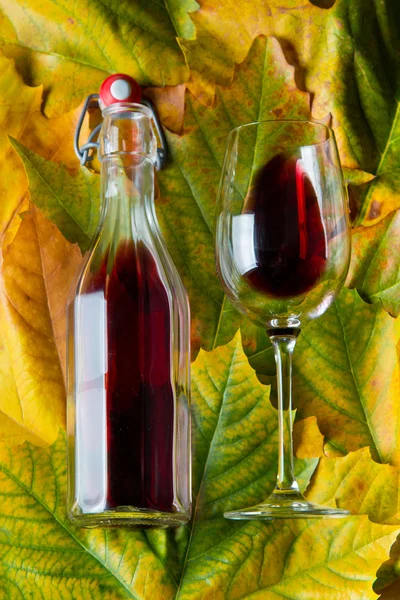 Vin rouge sur fond de feuilles d'automne — Photo