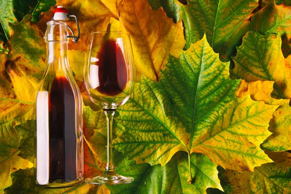 Vin rouge sur fond de feuilles d'automne — Photo