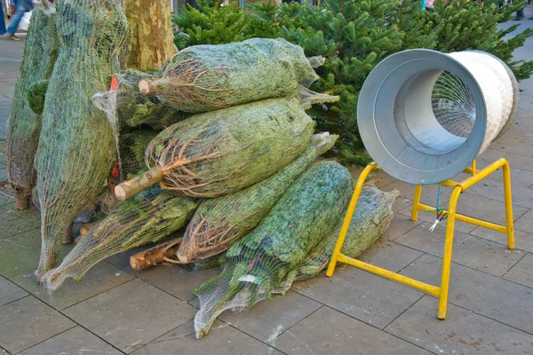 Kerstbomen te koop — Stockfoto