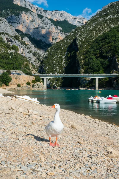 VERDON GRAND, FRANCIA-AGOSTO 02,2015: El sudeste de Francia (Alpes-de-Haute-Provence), es un cañón fluvial que a menudo se considera uno de los más bellos de Europa . — Foto de Stock