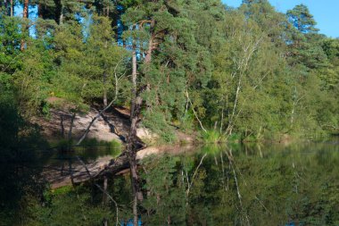 Berkshire Gölü viev