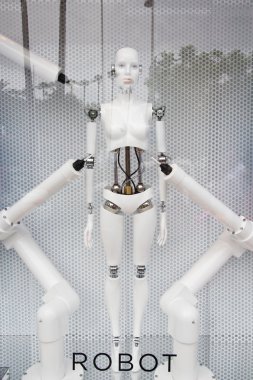 Robot ekran mağazasında