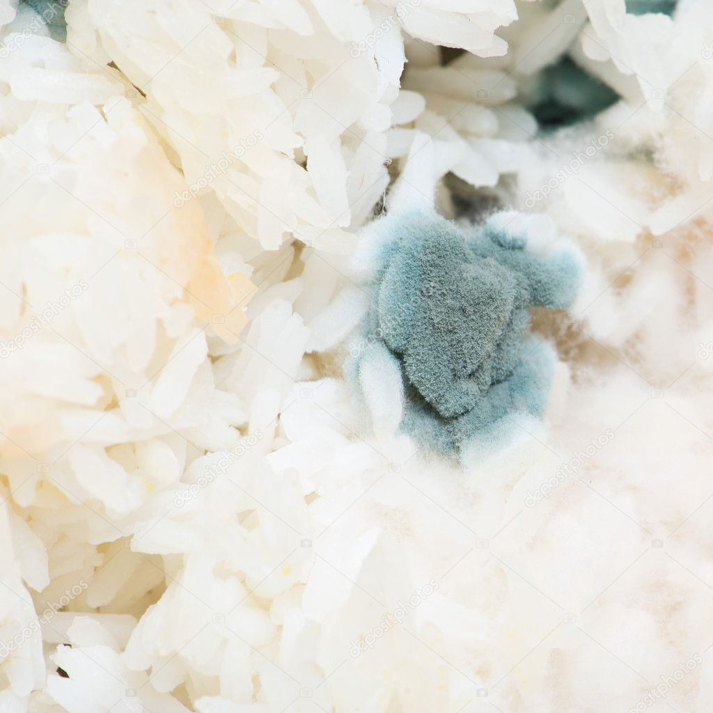 Dangerous Moldy rice