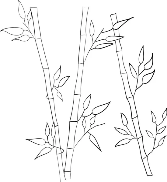 Handmålade Dekorativa Bambu Stammar Med Blad Vit Bakgrund Vektor Illustration — Stock vektor