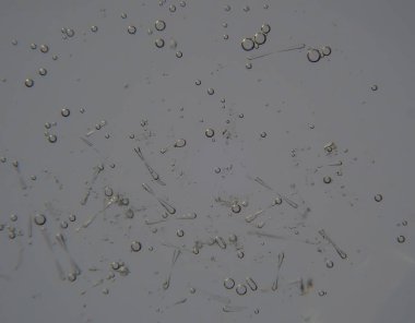 Bardakta su kabarcıkları var. ışık arkaplanı.