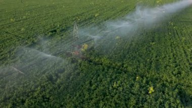 Yazın eksensel sulama ekipmanları için sulama ekipmanı alanı, hava görünümü.