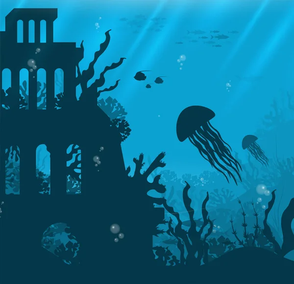 Underwater background with various sea views. Underwater scene. Cute sea fishes ocean underwater animals. Undersea bottom with corals seaweeds
