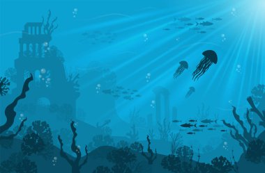 Çeşitli deniz manzaralı su altı arka planı. Sualtı sahnesi. Şirin deniz balıkları okyanus altındaki su altı hayvanlarını avlar. Mercan yosunlu deniz altı dibi. 