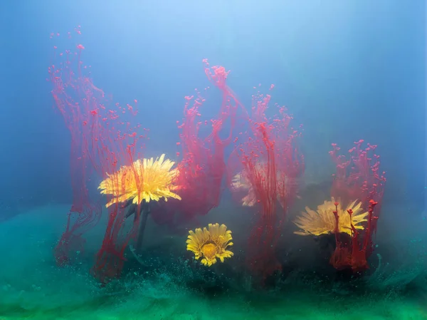 Verfdruppels Het Schilderen Van Water Beeld — Stockfoto