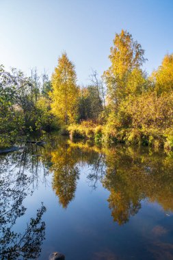 Sonbahar ormanı nehir suyuna yansıyor. Göl kenarındaki sonbahar ormanı. Altın sonbahar renkleri.