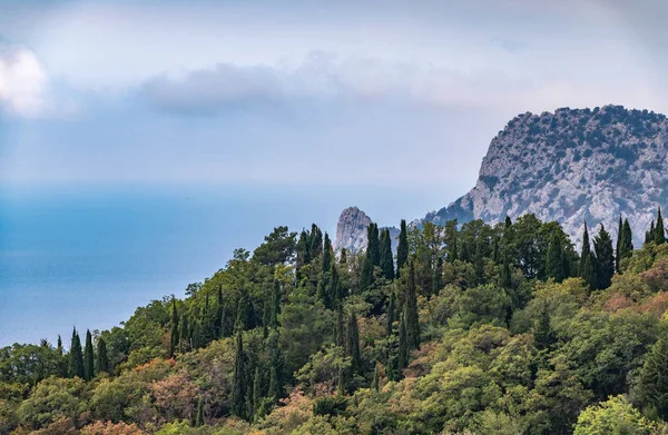 Montanha Rochosa Costa Mar Com Altas Árvores Verdes Encosta Seascape — Fotografia de Stock