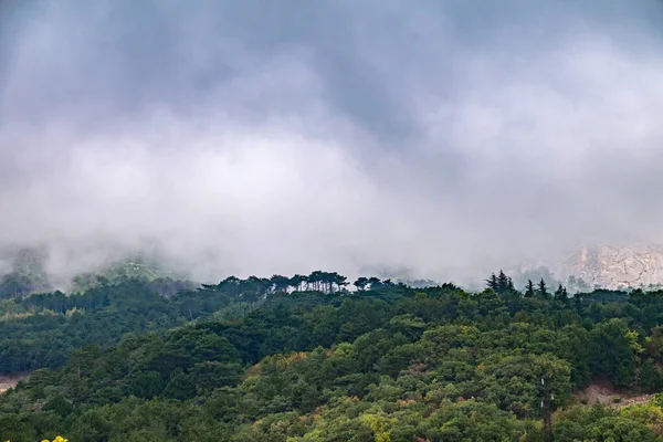 High mountains with forested slopes and peaks hidden in the clouds. Heavy fog in the mountains on a cloudy day.