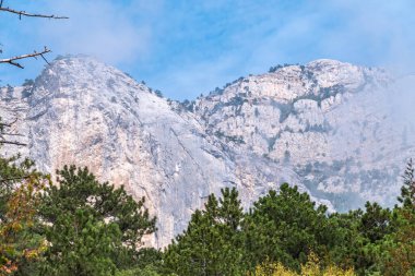 Mavi arka planda yüksek kayalık dağlar. Dağ yamacındaki yeşil çam ormanı. Yeşil ve kayalık yamaçlı dağ sıraları.