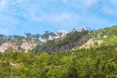 Mavi arka planda yüksek kayalık dağlar. Dağ yamacındaki yeşil çam ormanı. Yeşil ve kayalık yamaçlı dağ sıraları.