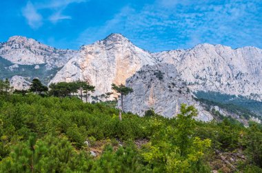 Mavi arka planda yüksek kayalık dağlar. Dağ yamacındaki yeşil çam ormanı. Yeşil ve kayalık yamaçlı dağ sıraları.